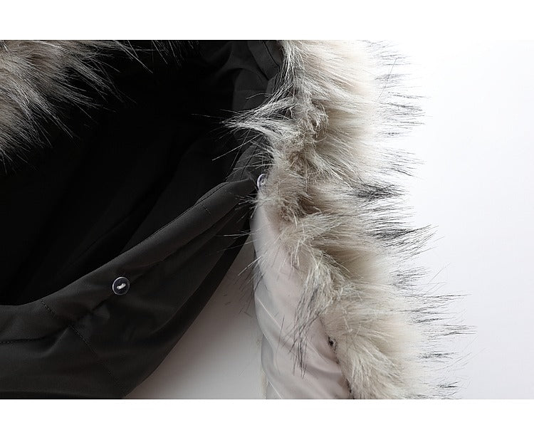 O1CN01nL50dk1DkpzsTIMBx