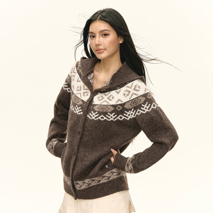Fair Isle Hooded Knit Sweater