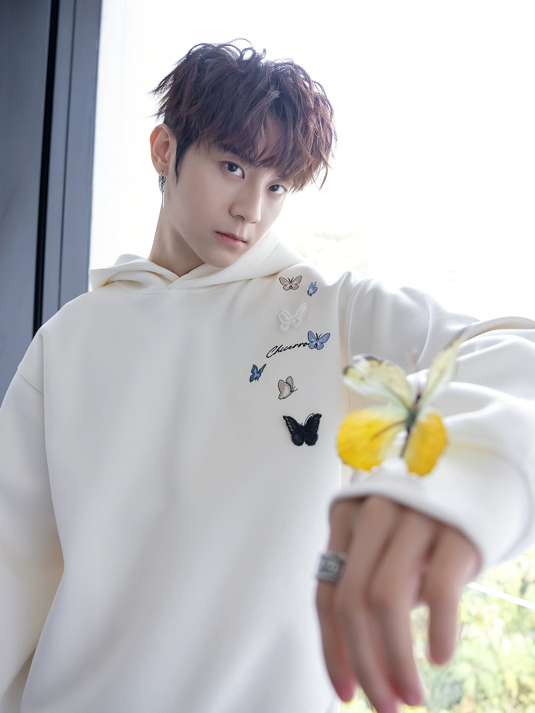 Butterfly Embroidered Hooded Sweatshirt