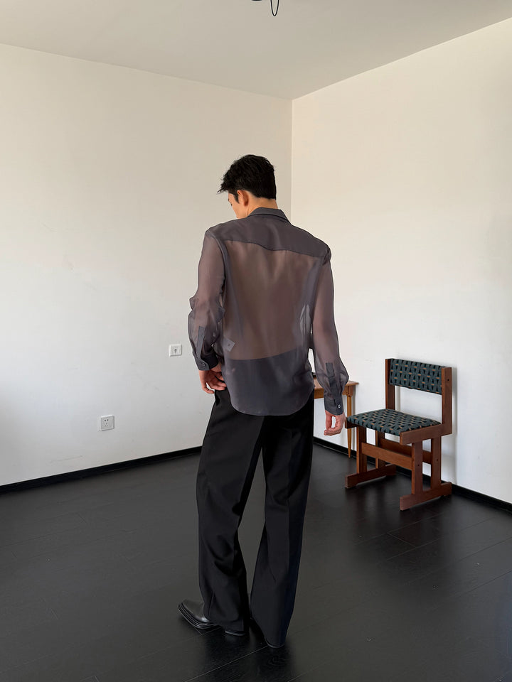 Sheer Long Sleeve Loose Fit Shirt