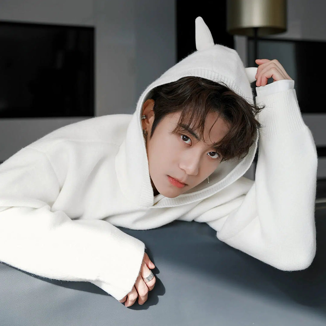 Horn Accent Hooded Knit Sweater