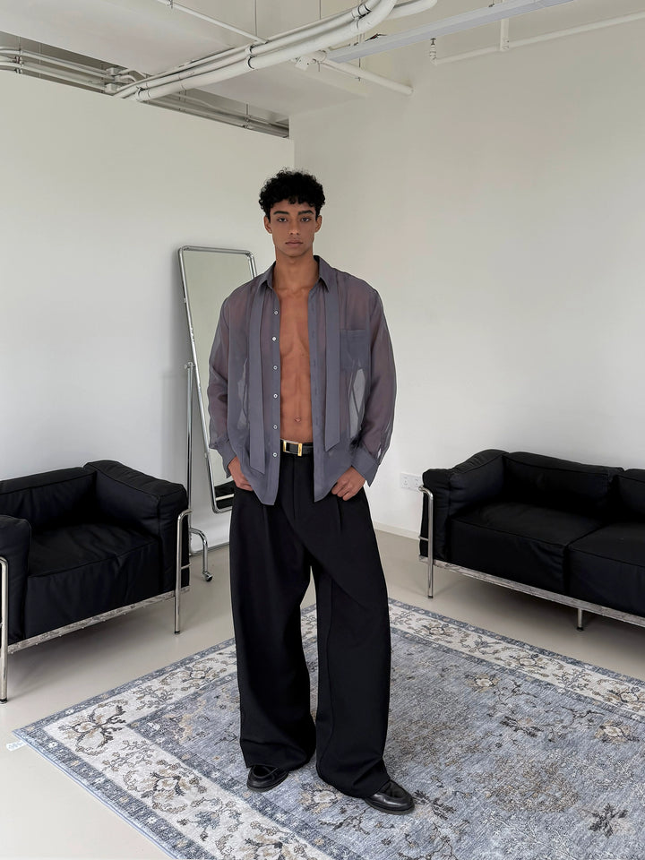 Sheer Long Sleeve Loose Fit Shirt