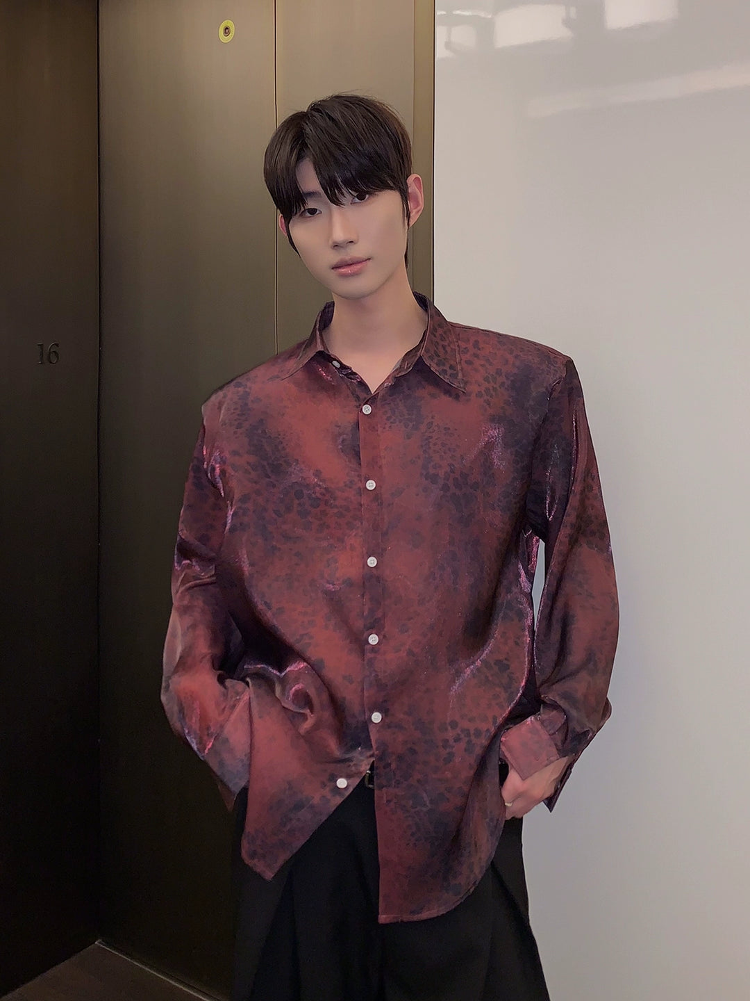 Sheer Leopard Print Long Sleeve Shirt