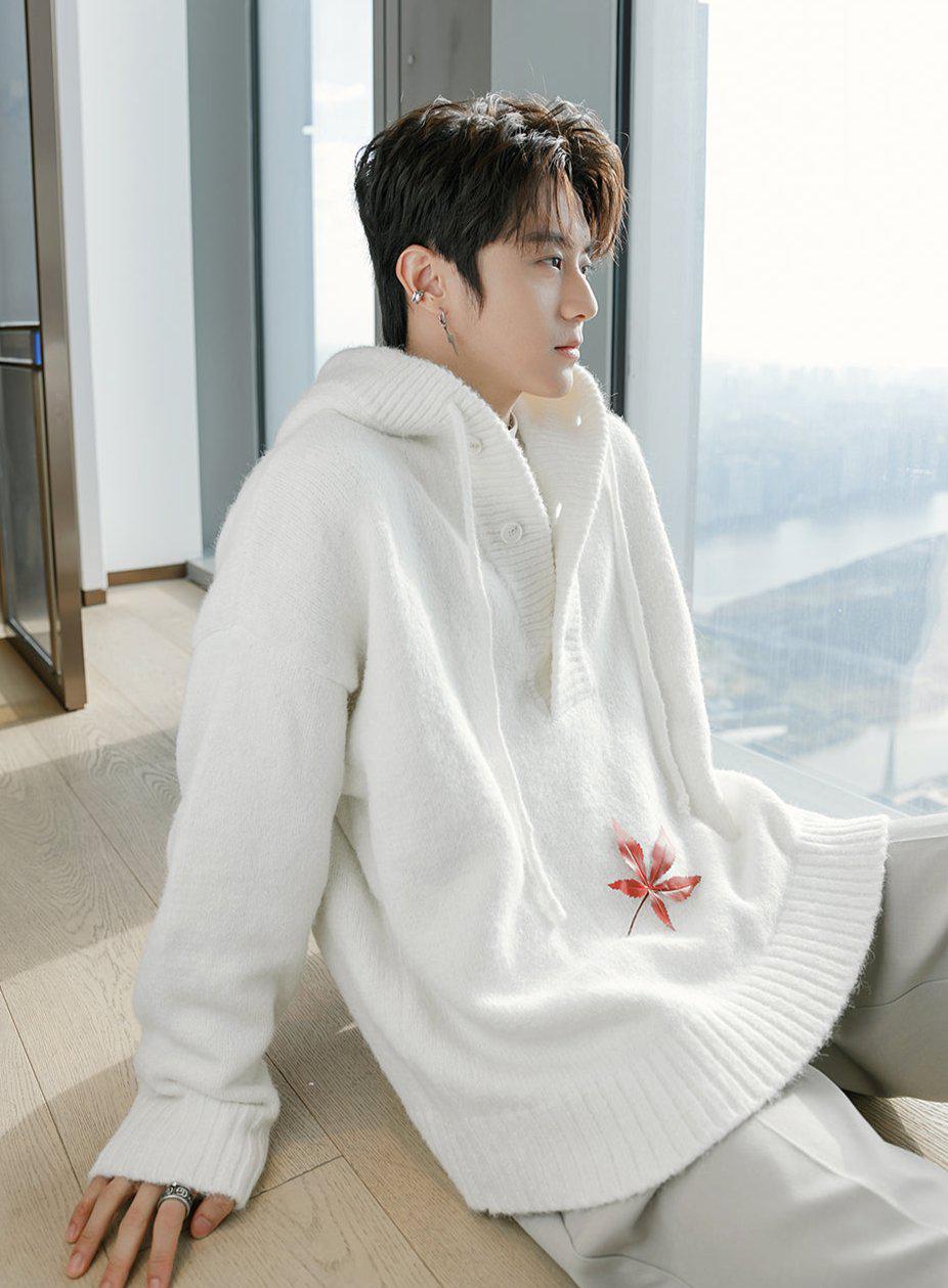 Hooded Knit Sweater