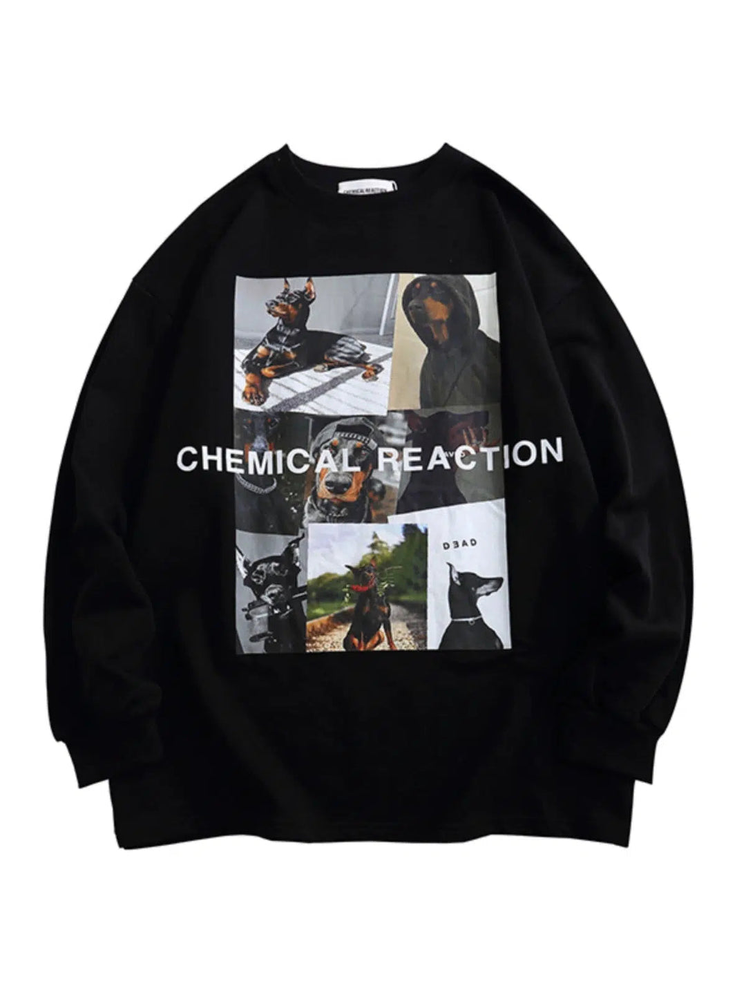Dogs Graphic Oversized Sweatshirt
