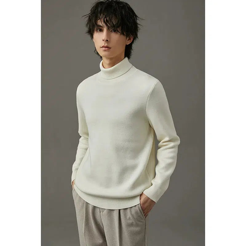 Knit Turtleneck Sweater