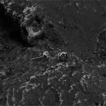 Minimalist Stud Earrings