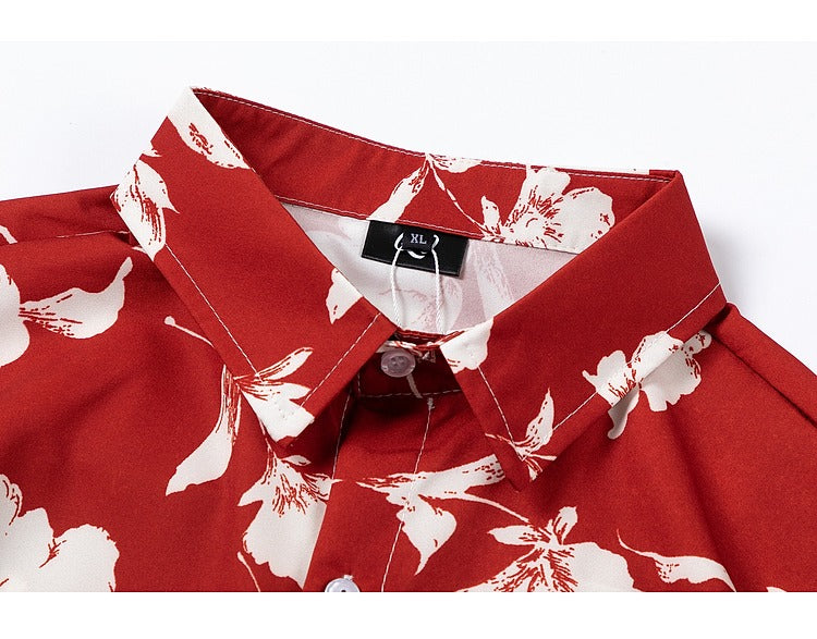 O1CN01EB3R4P1Dkpx2EOdhX