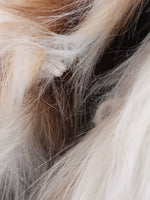 O1CN01KWNBqu1uxEGyXwyOV