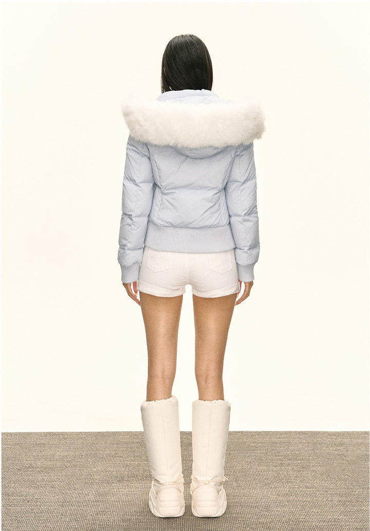 O1CN01OGDDpW1JKAjBMX4gj