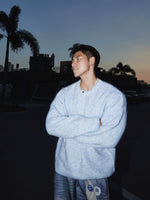 O1CN01U2SJcP1EHoc8RcuOb