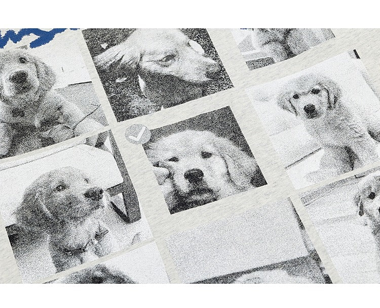 O1CN01oGTTsf1Dkq1frVfaN