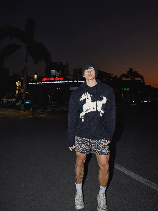 Cartoon Horse Graphic Knit Hooded Sweater 2