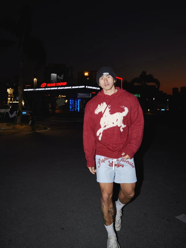 Cartoon Horse Graphic Knit Hooded Sweater 4