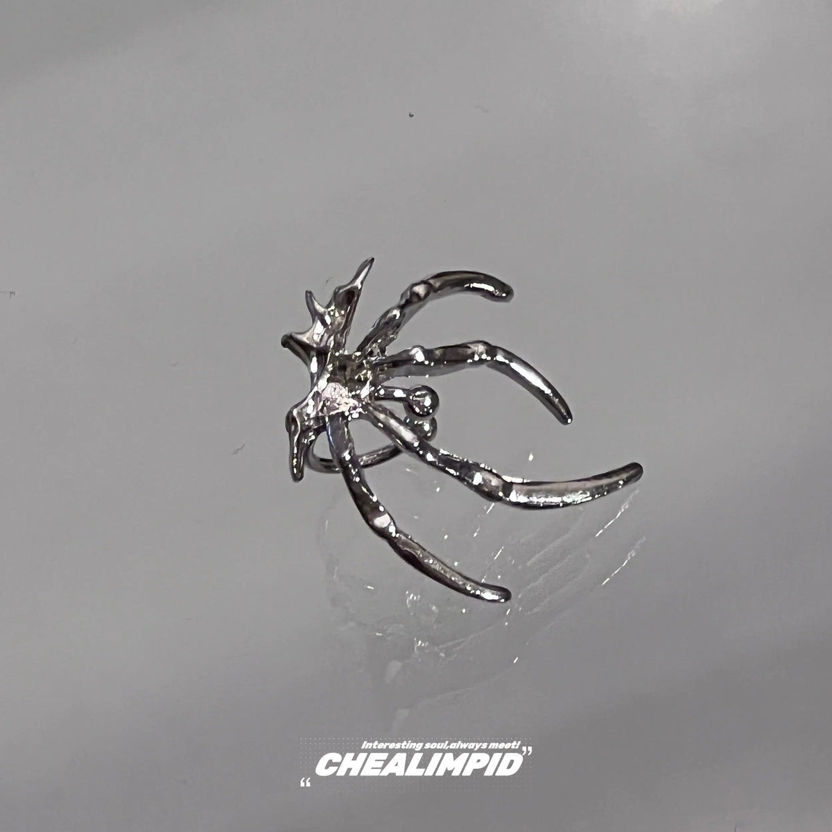 Spider Design Ear Clip