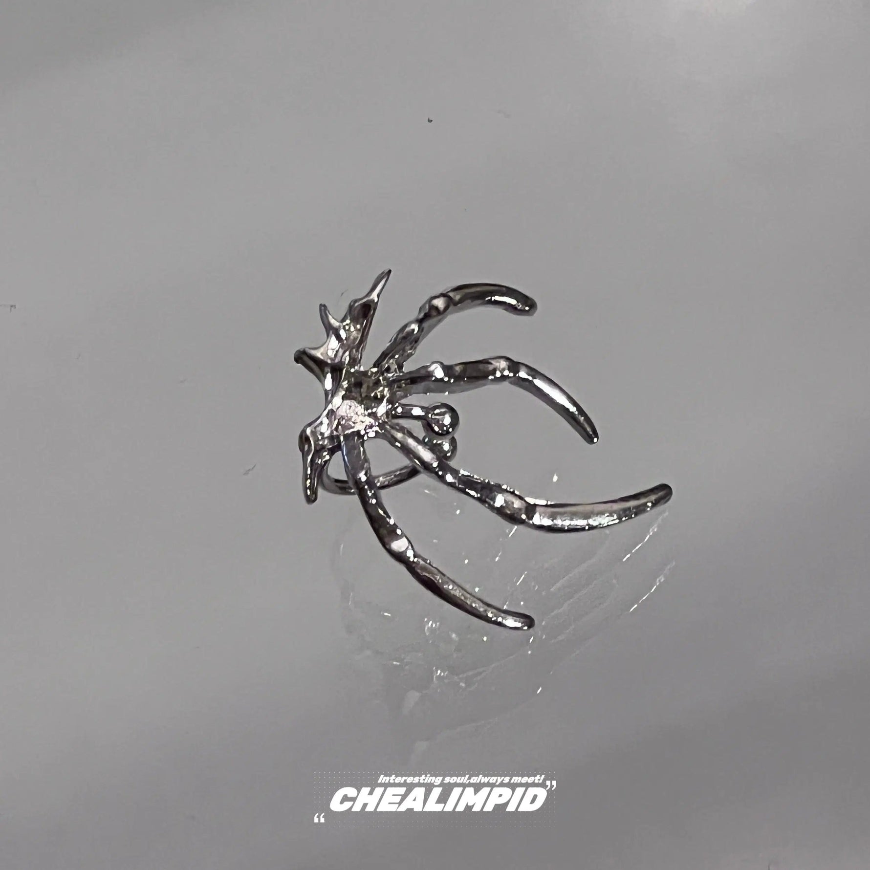 Spider Design Ear Clip