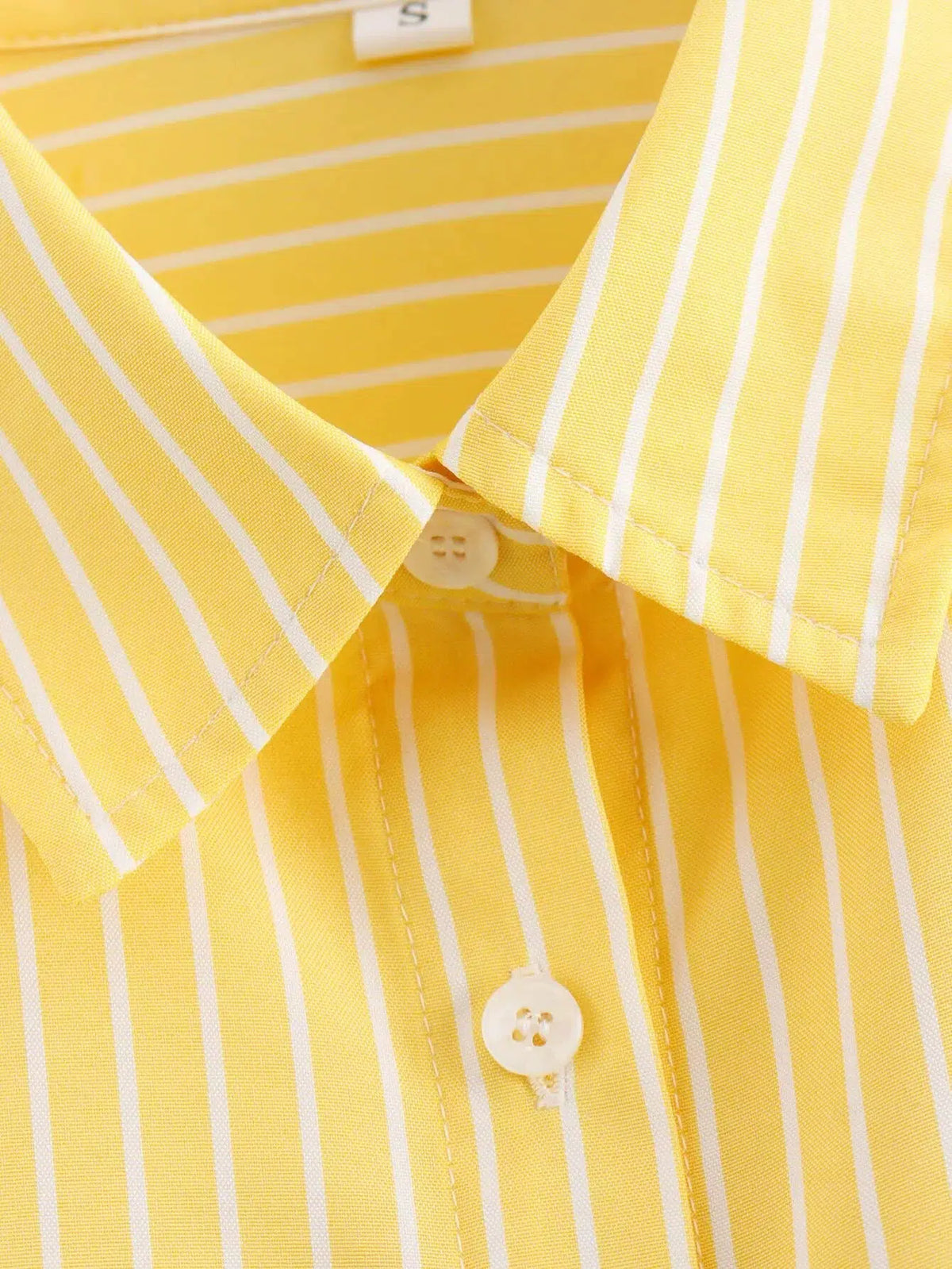 Striped Button-Down Shirt