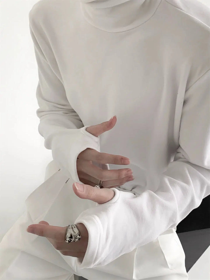 Bottoming Turtleneck Pullover
