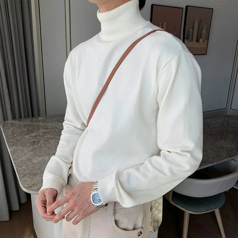Loose-fit Turtleneck Sweater