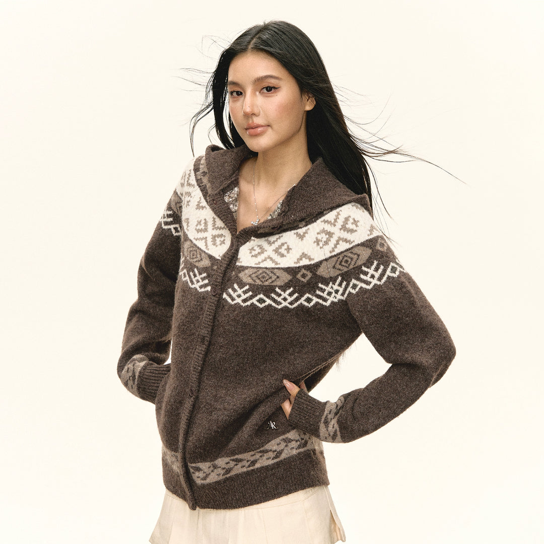 Fair Isle Hooded Knit Sweater