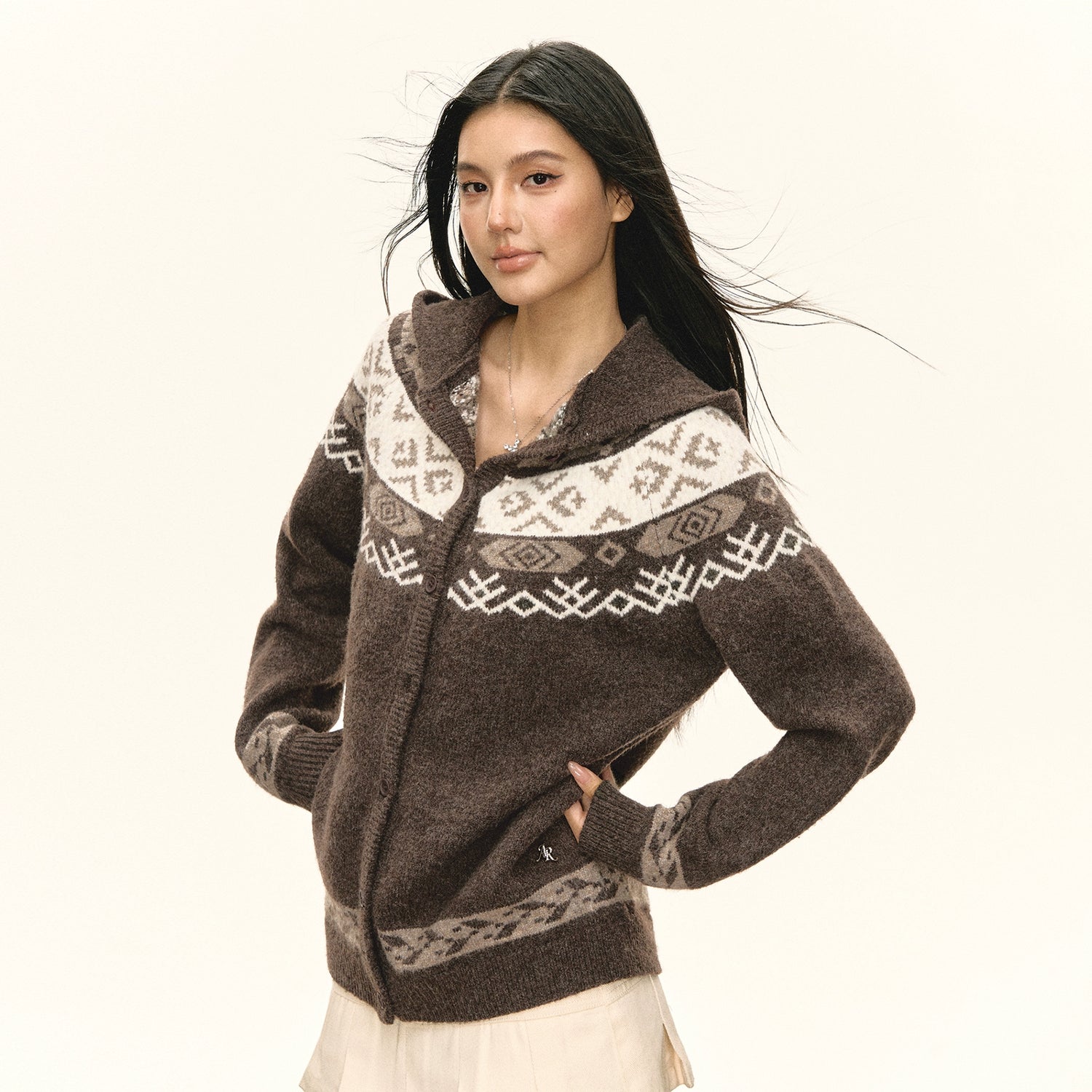 Fair Isle Hooded Knit Sweater