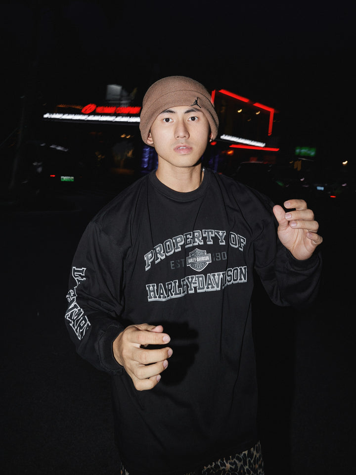 Loose Fit Long Sleeve Graphic Pullover