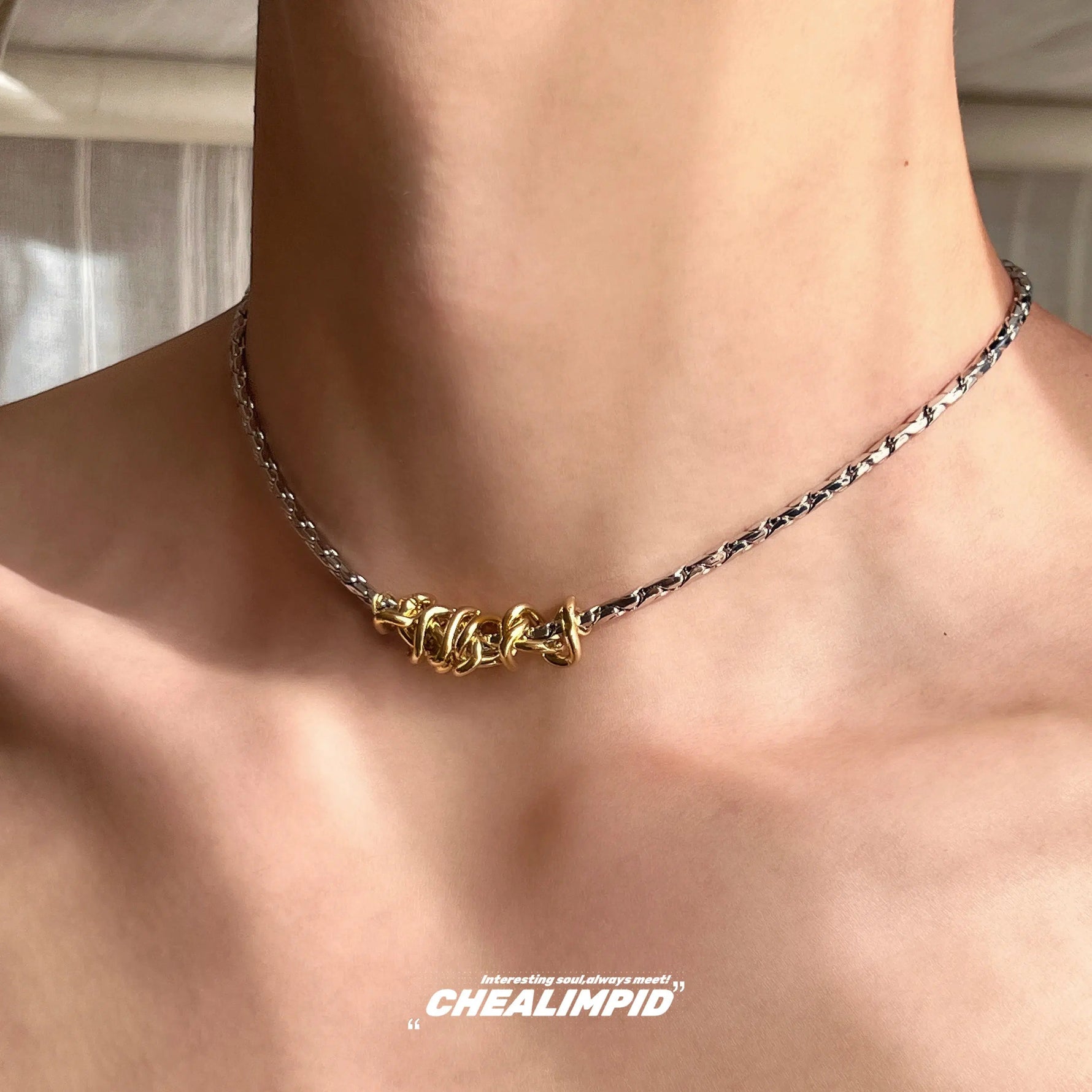 Titanium Steel Snake Chain Necklace