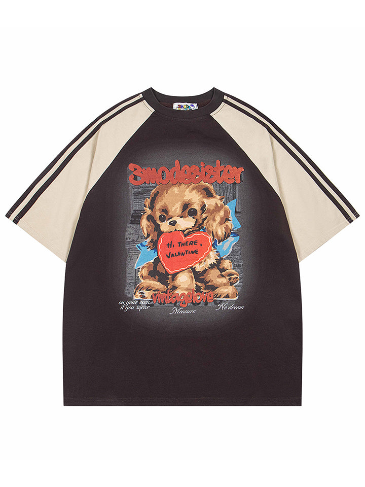 Print Raglan Short-Sleeved Pullover