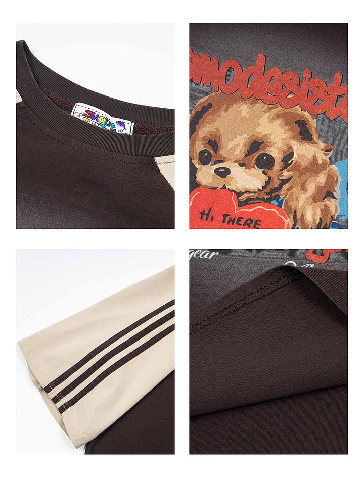 Print Raglan Short-Sleeved Pullover