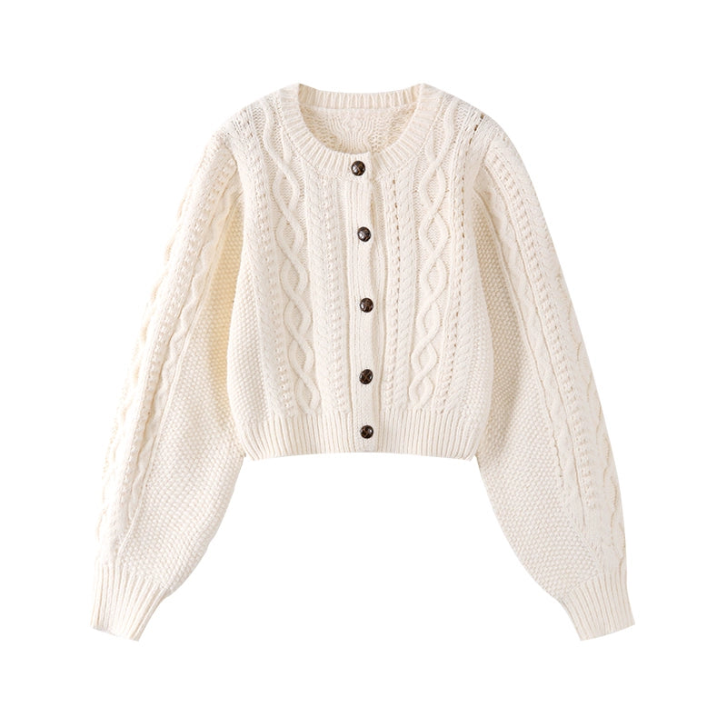 undefined,6086080190729,6086080190730