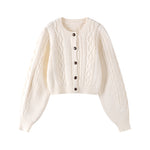 undefined,6086080190729,6086080190730