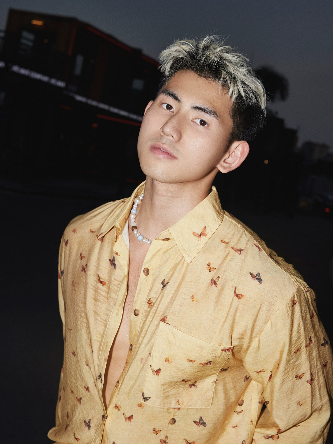 Butterfly Print Long Sleeve Casual Shirt
