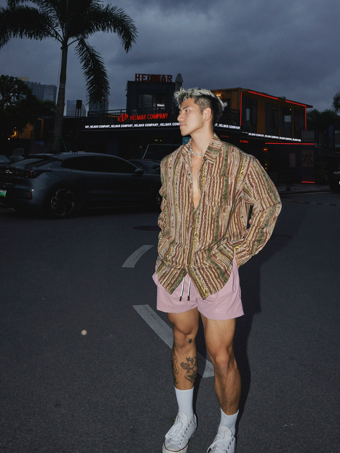 Striped Paisley Pattern Long Sleeve Shirt