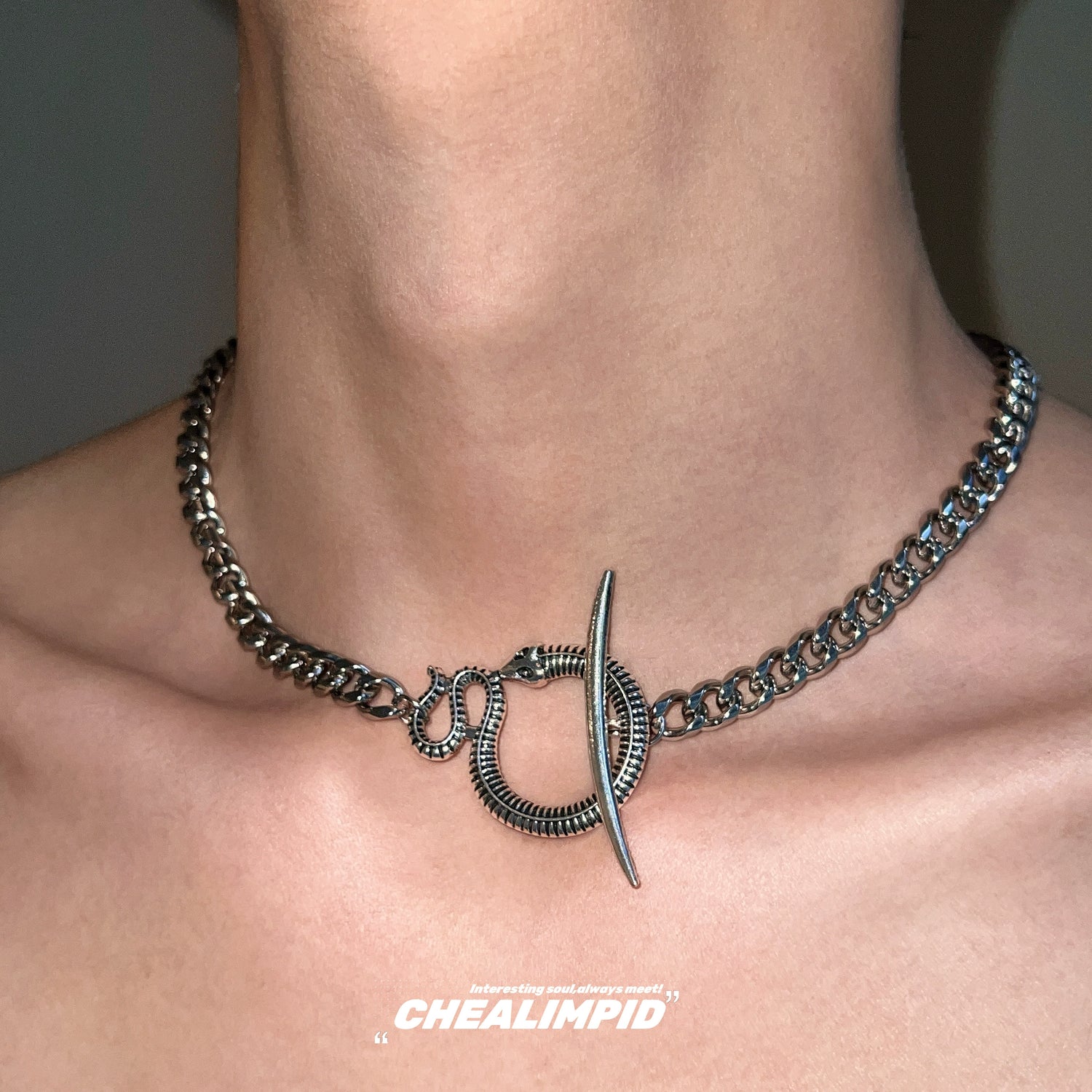 Snake Chain Metal Clavicle Necklace