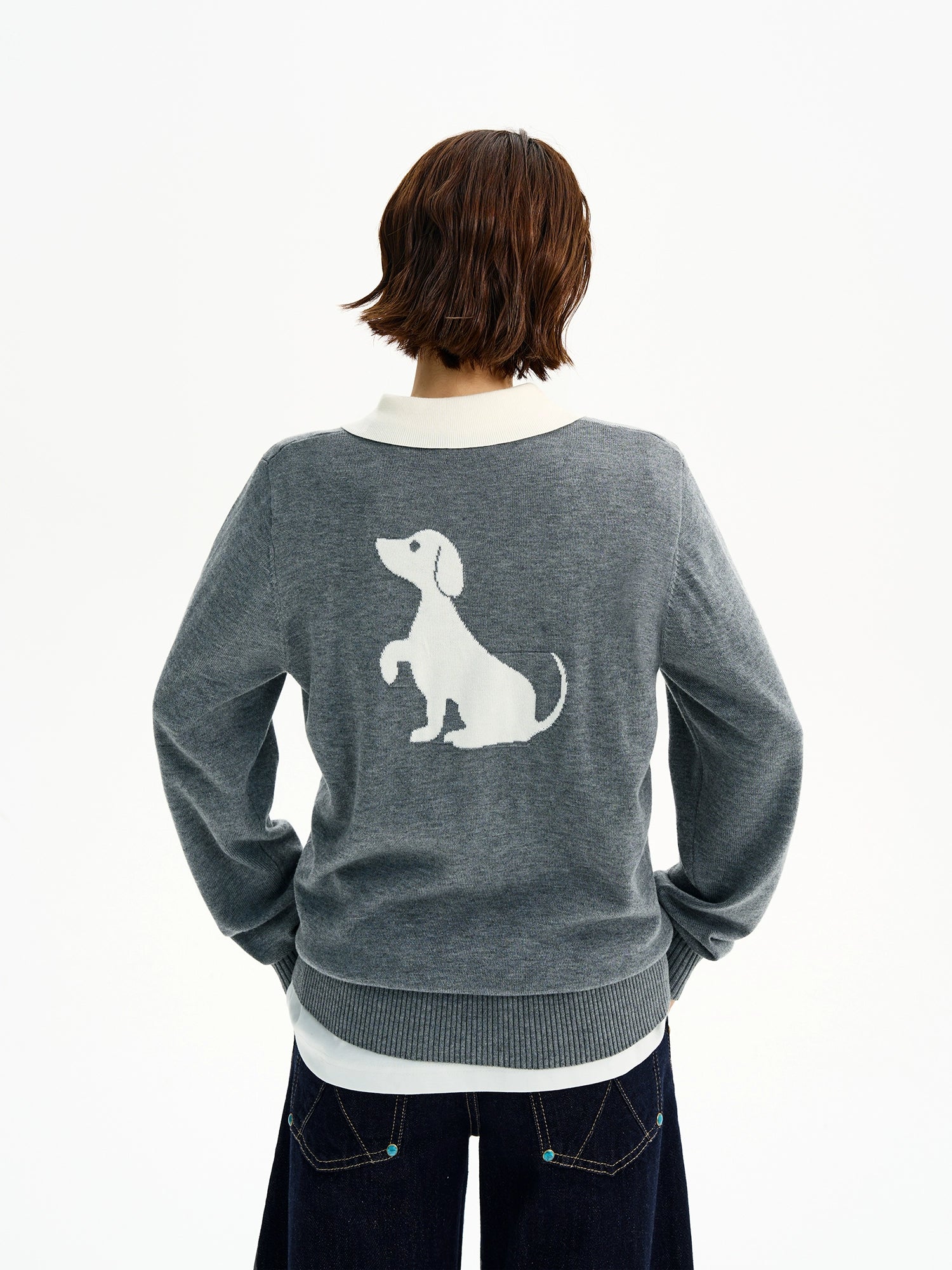 Maglione Polo a Maglia con Risvolto per Bassotto 