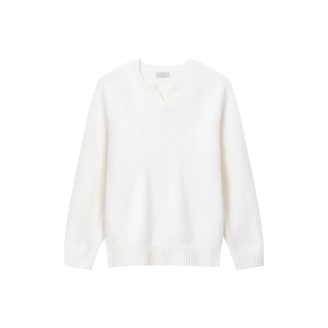 Versatile V-Neck Knit Sweater