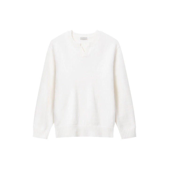 Versatile V-Neck Knit Sweater