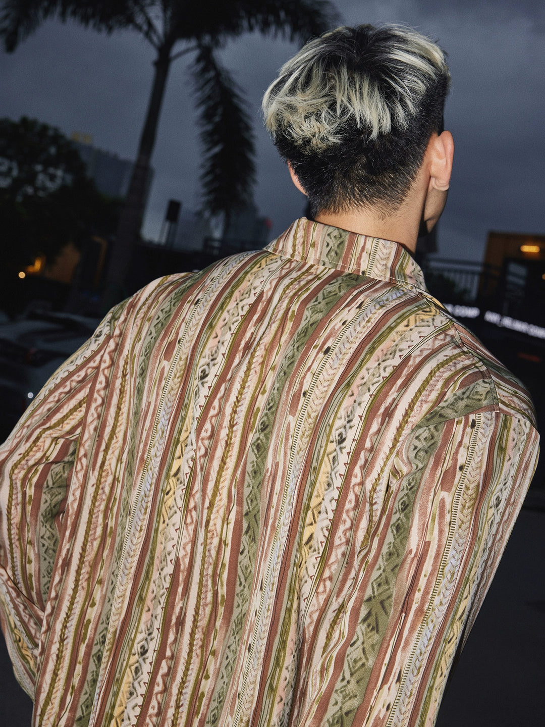 Striped Paisley Pattern Long Sleeve Shirt
