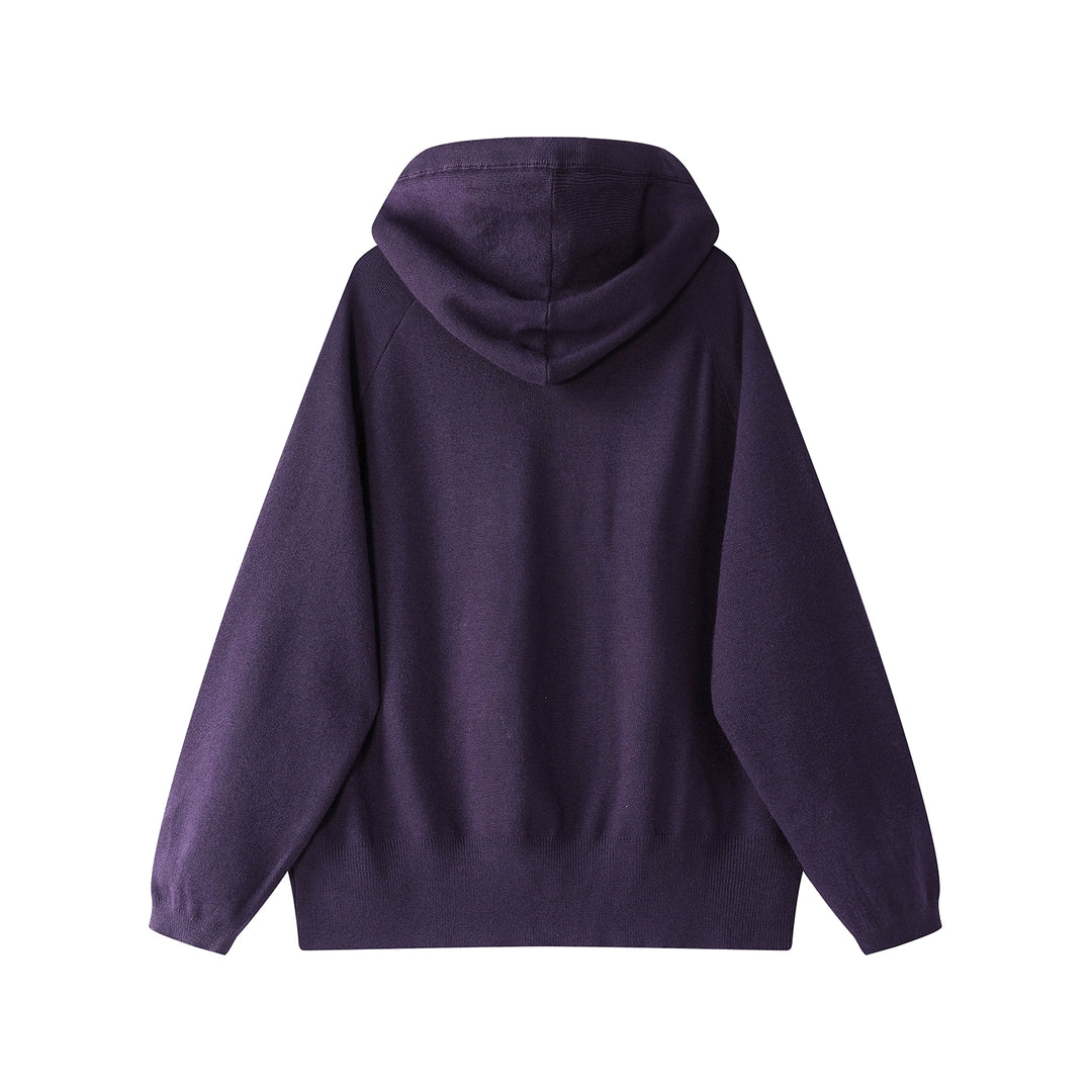 Slim Fit Knitted Hooded Pullover