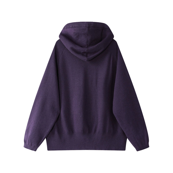 Slim Fit Knitted Hooded Pullover