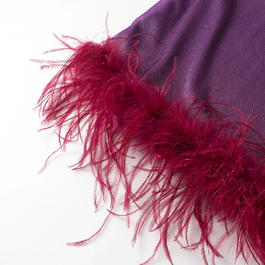 Robe sans manches à dégradé slim avec bordure en plumes 