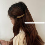 Acrylic Hair Clip