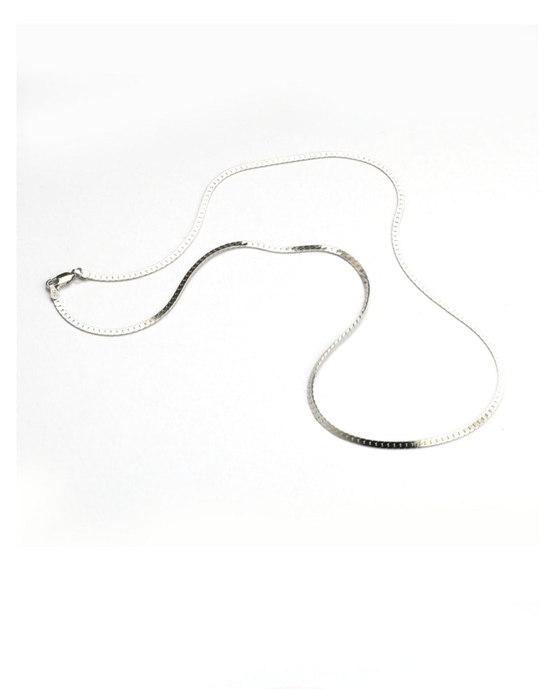Basic Snake Bone Chain