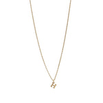 'H' Pendant Necklace