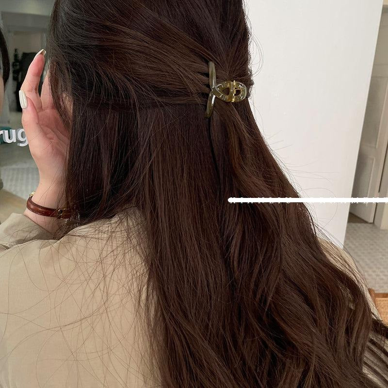 High Ponytail Acrylic Hair Clip