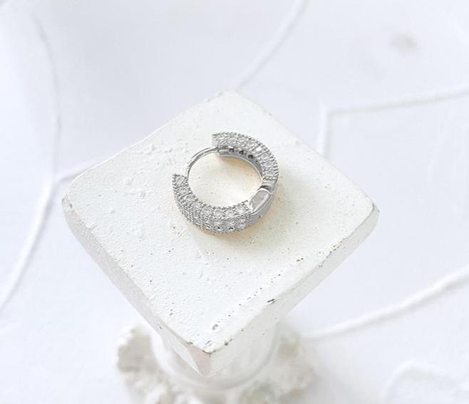 Micro-Set Zircon Hoop Earrings