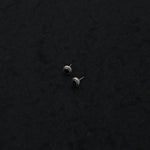 Oval Black Enamel Earrings