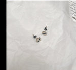 Silver Screw Ear Studs
