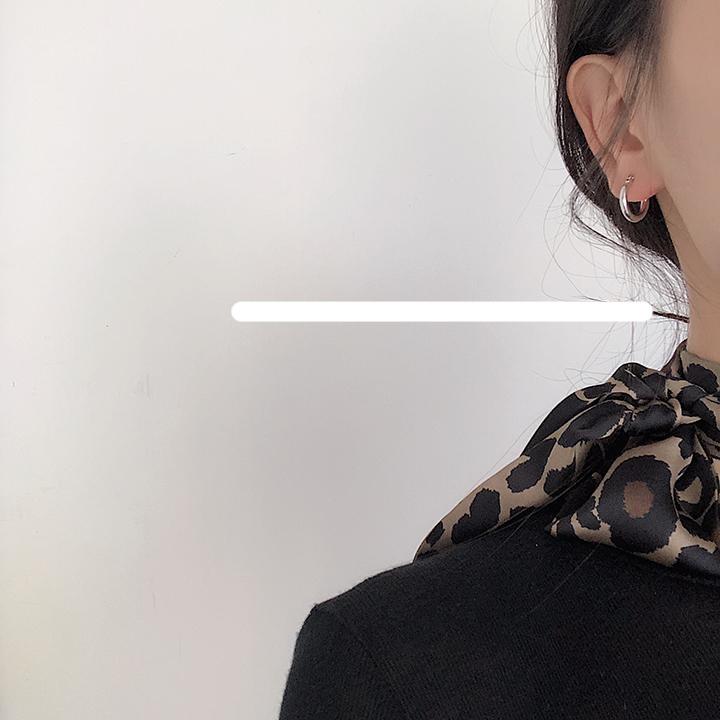 Small Circle Earrings