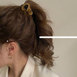 Small Triangle Claw Clip